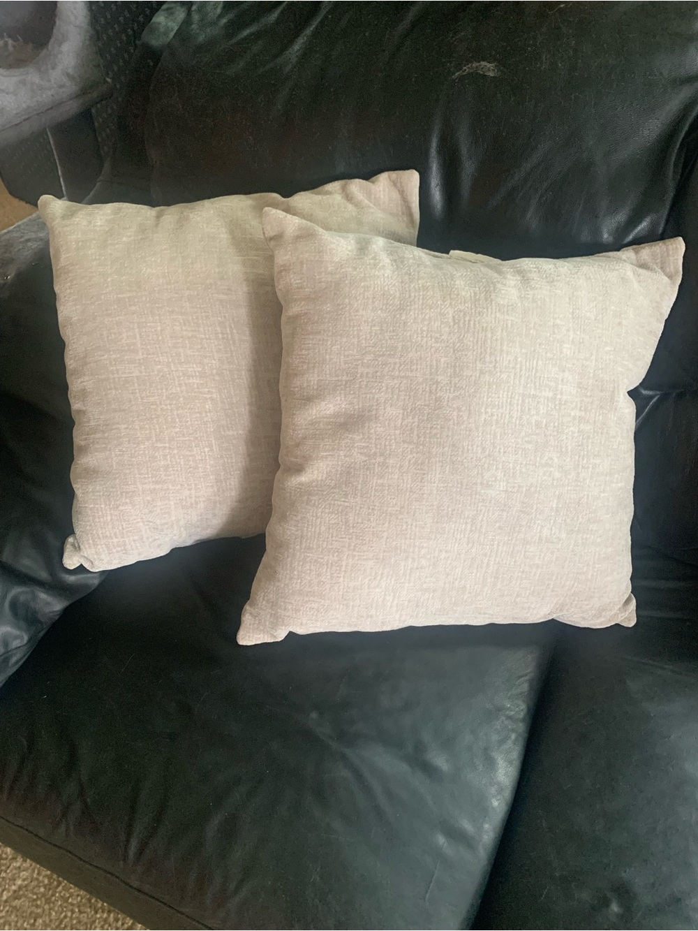 Neutral Cream Decorative Throw Pillow Pair - Soft Textured Home Accents
